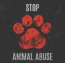 Awareness Campaign Against Animal Abuse [] Parque Zeferino Gutierrez |  Discover San Miguel de Allende