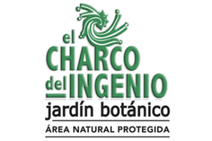 Guided Tours of El Charco del Ingenio Botanical Garden
