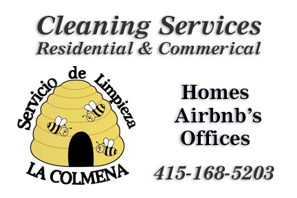 Cleaning Service: LA COLMENA